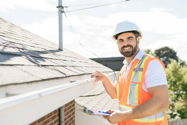 Roof Gutter Cleaning in Tyler, MN