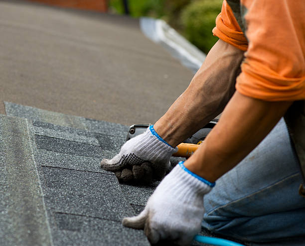 Best Roof Gutter Cleaning  in Tyler, MN
